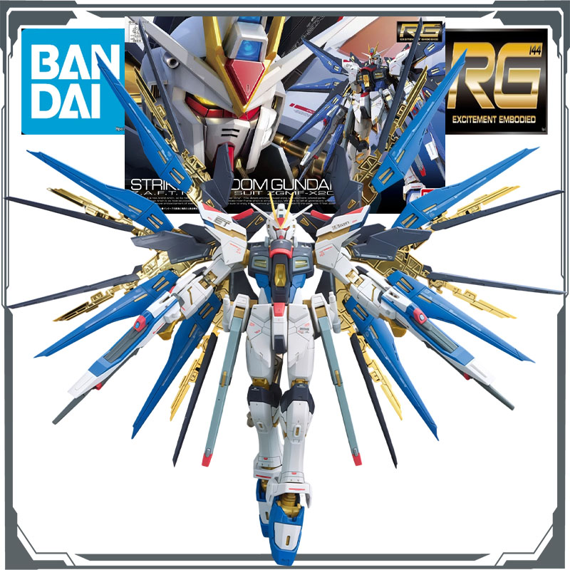 Bandai Model Gundam Rg - 반다이 RG 리얼 그레이드 1/144 ZGMF-X20A